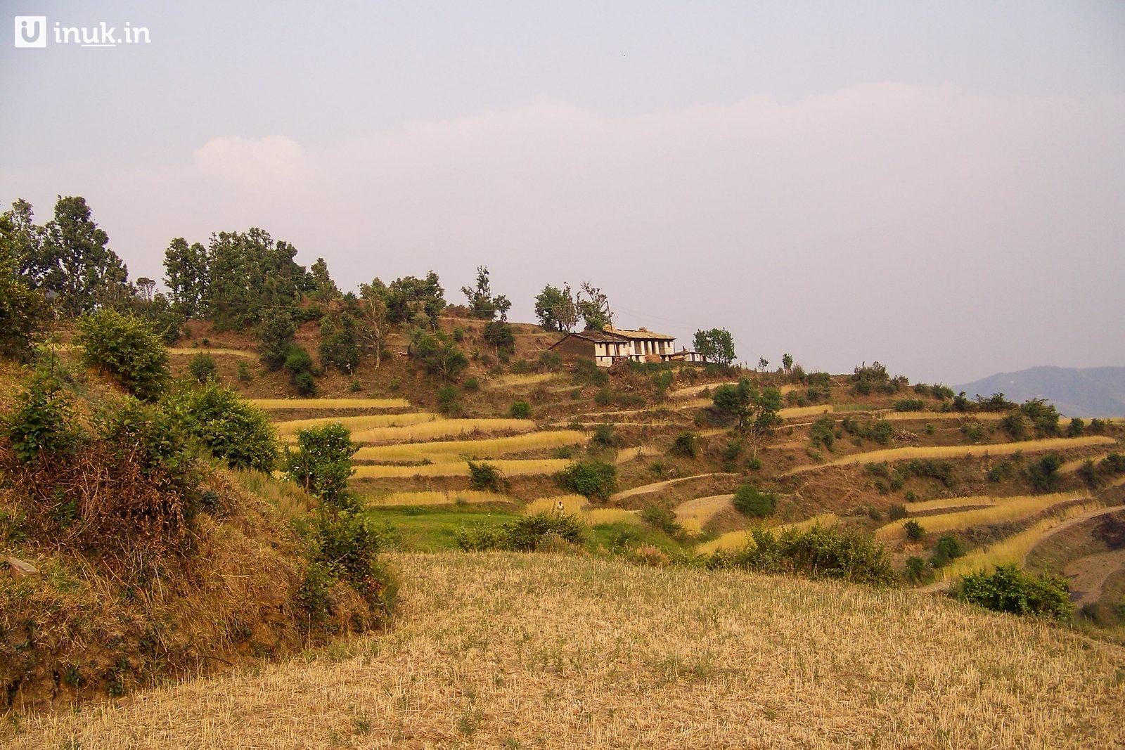 The Farms