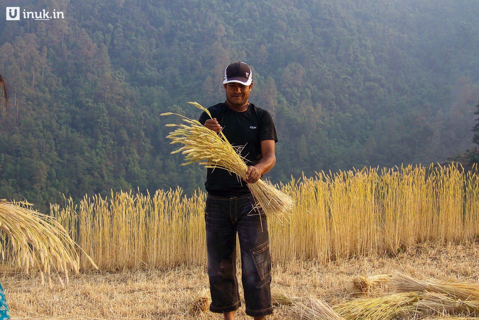 Gathering by hand