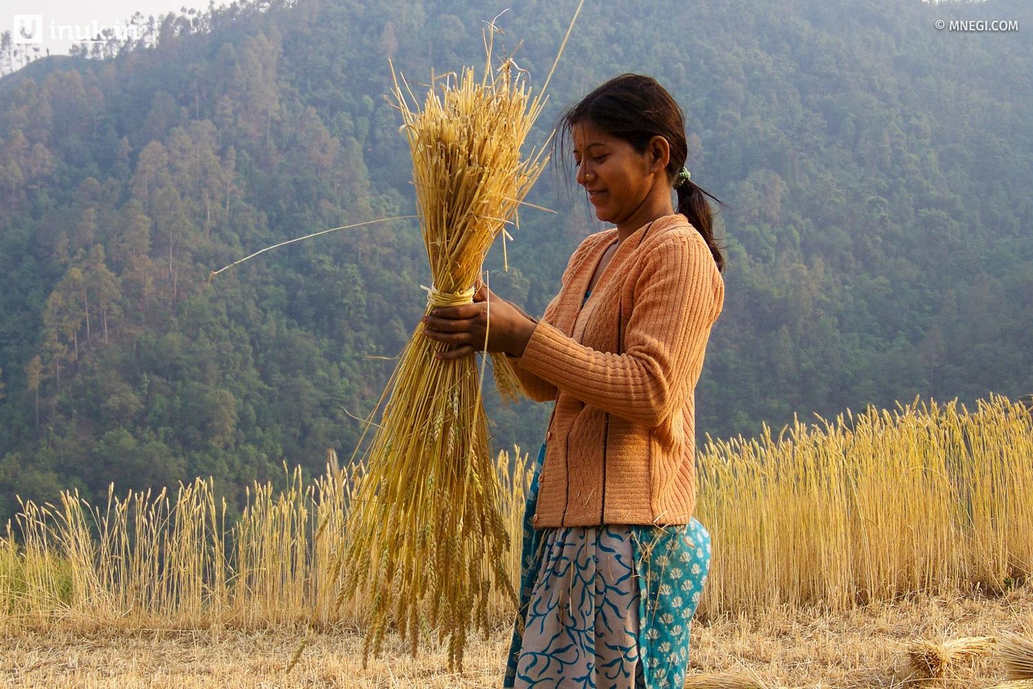 Agriculture