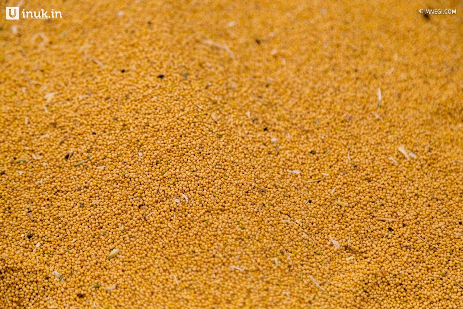 Grains
