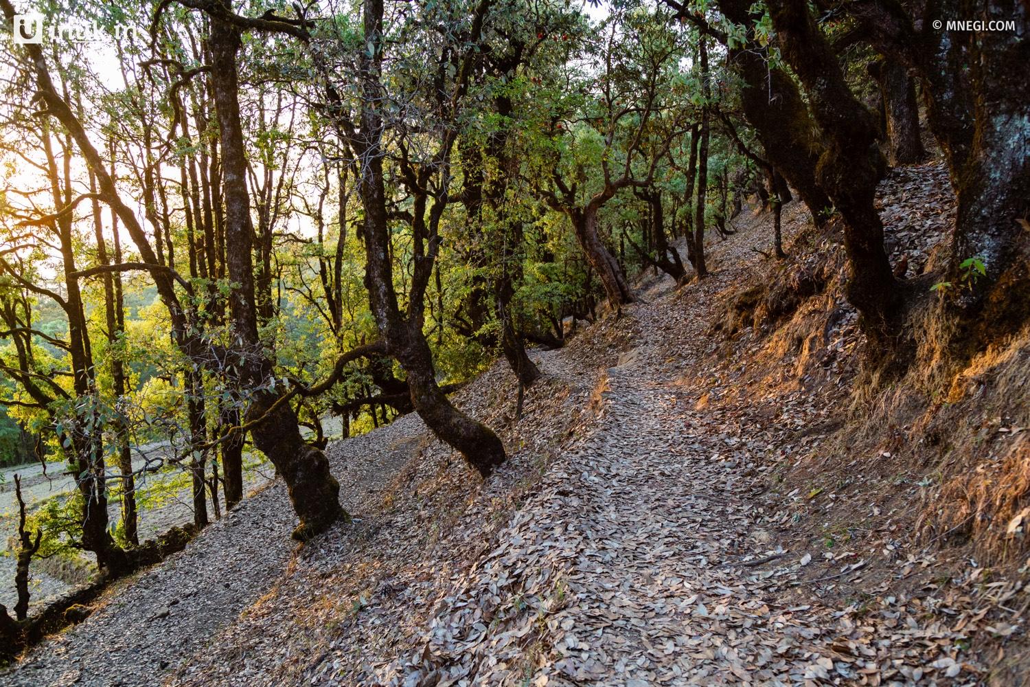 Trails