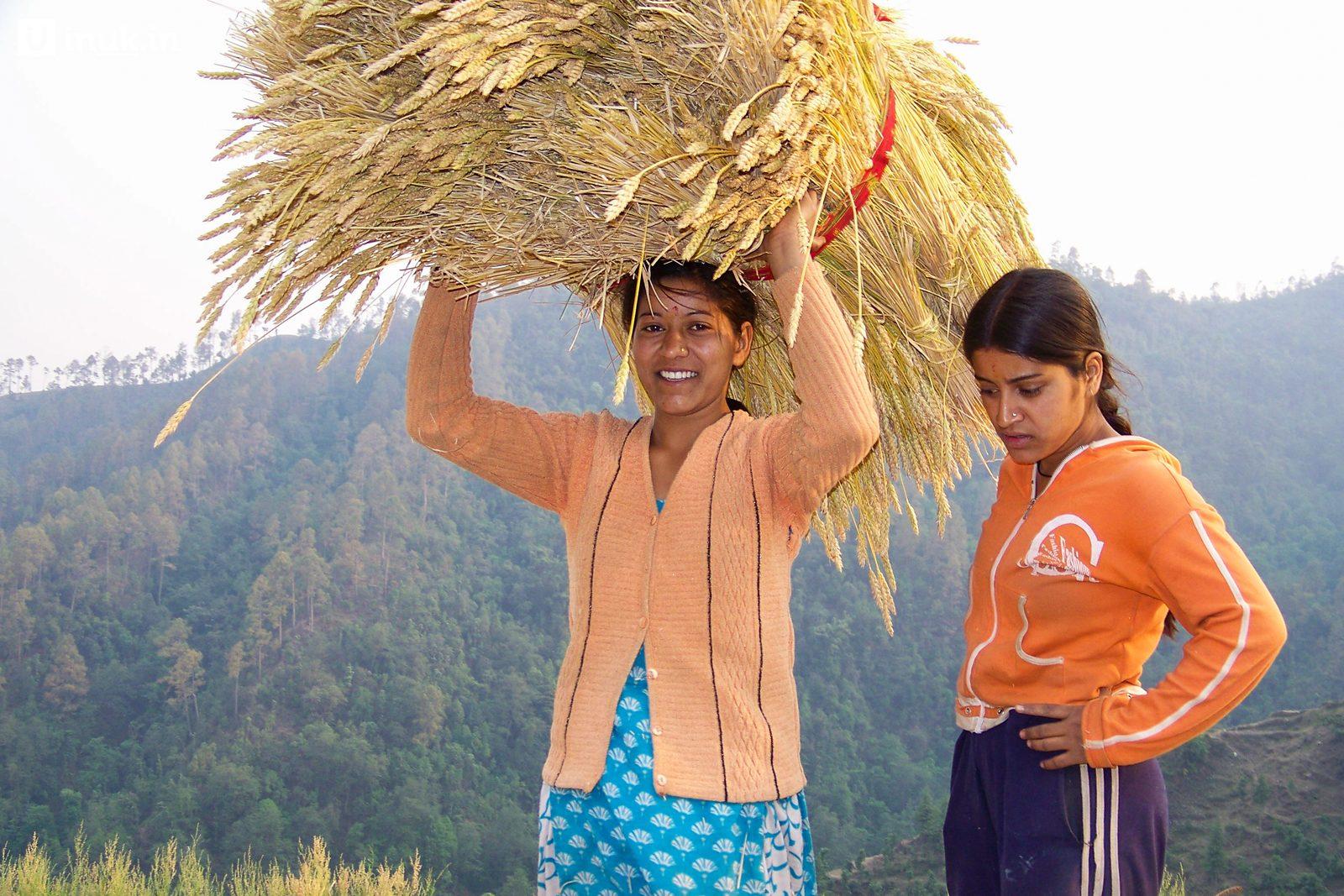 The Farms