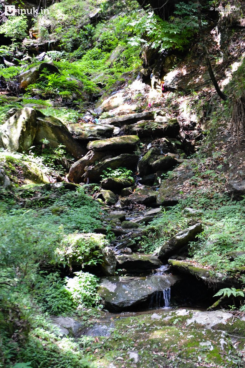 A walk to where our water begins